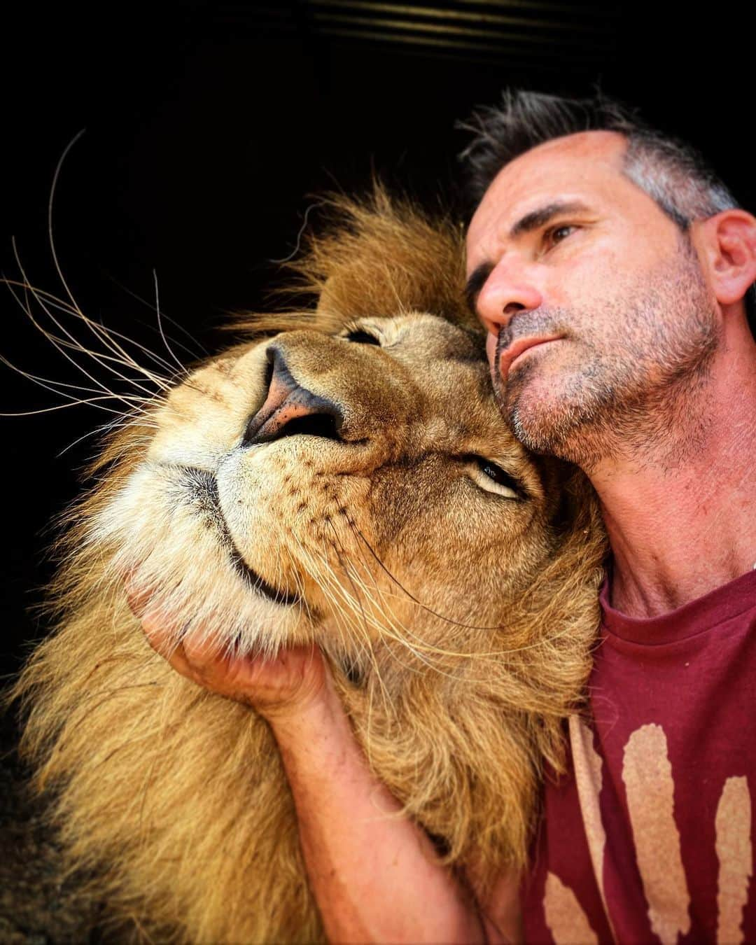 Kevin Richardson LionWhisperer のインスタグラム