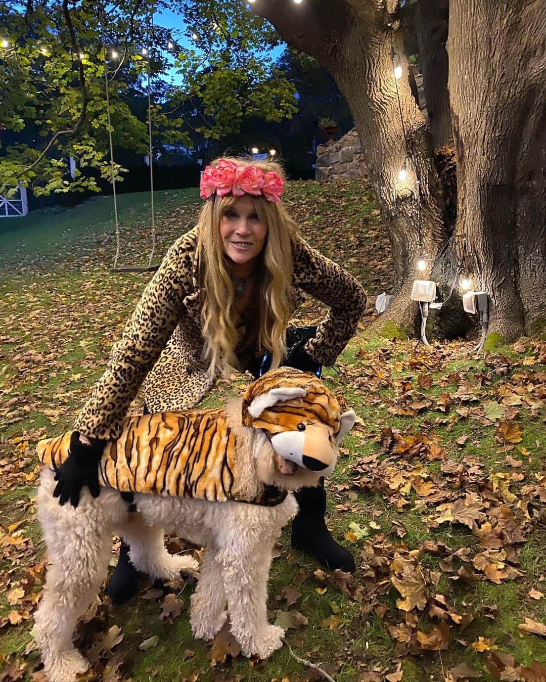 クリスティ・ブリンクリーさんのインスタグラム写真 - (クリスティ・ブリンクリーInstagram)「I’de be LION if I didn’t say Halloween was a Howl!  But now it’s time to  #VOTE go get ‘em Tiger! 💙💙💙」11月3日 0時00分 - christiebrinkley