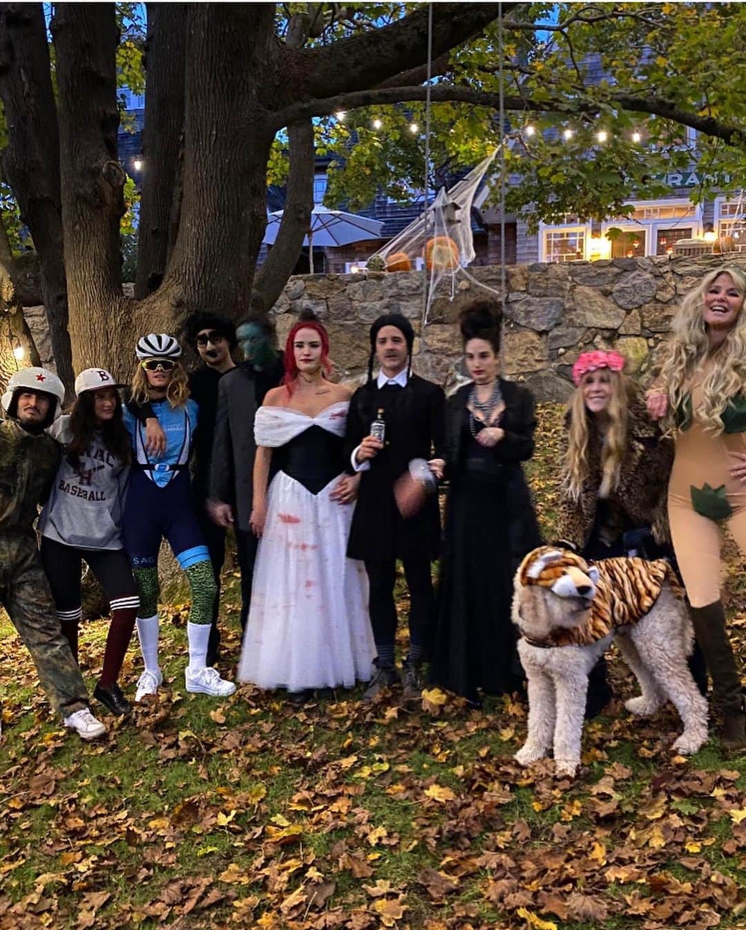 クリスティ・ブリンクリーさんのインスタグラム写真 - (クリスティ・ブリンクリーInstagram)「I’de be LION if I didn’t say Halloween was a Howl!  But now it’s time to  #VOTE go get ‘em Tiger! 💙💙💙」11月3日 0時00分 - christiebrinkley
