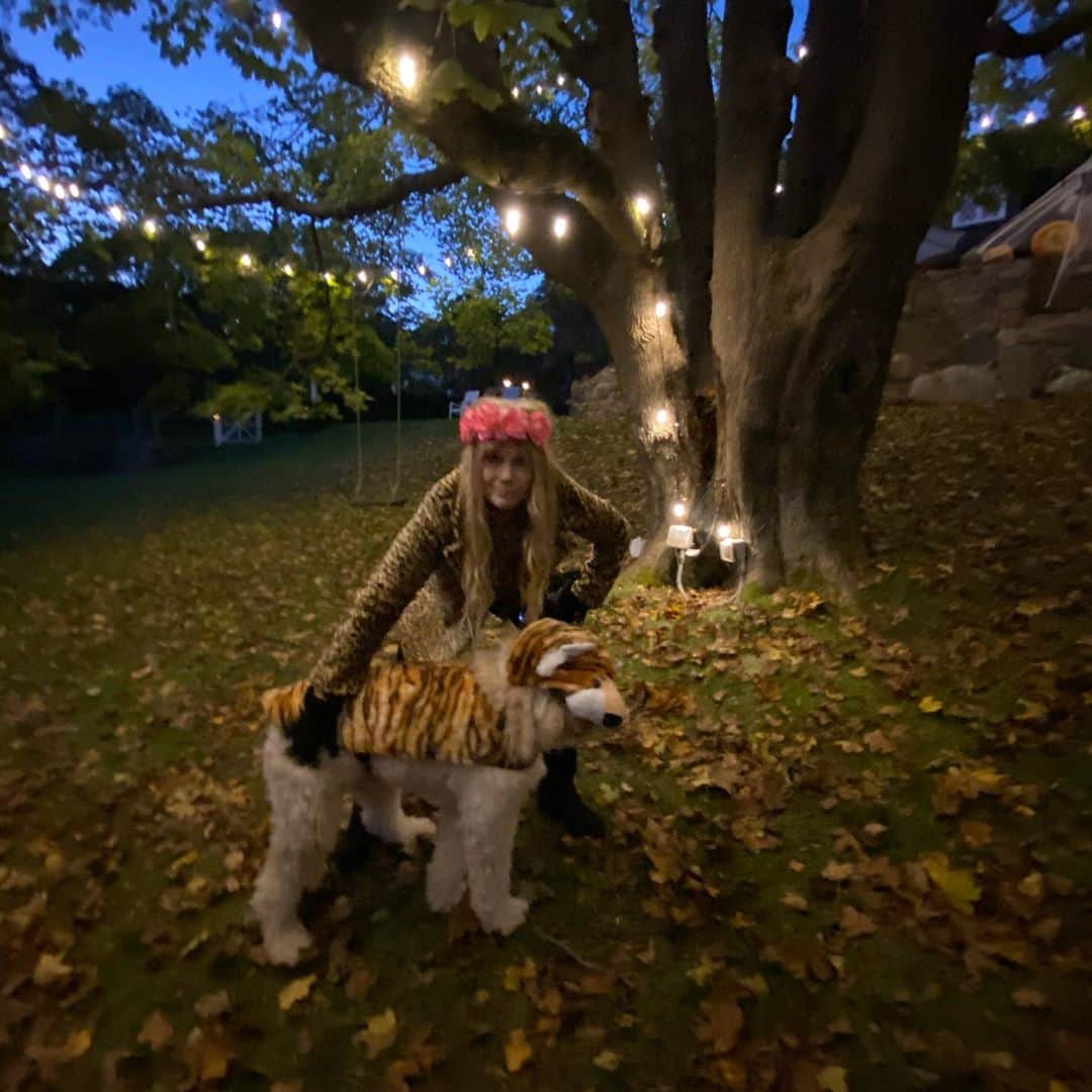 クリスティ・ブリンクリーさんのインスタグラム写真 - (クリスティ・ブリンクリーInstagram)「I’de be LION if I didn’t say Halloween was a Howl!  But now it’s time to  #VOTE go get ‘em Tiger! 💙💙💙」11月3日 0時00分 - christiebrinkley