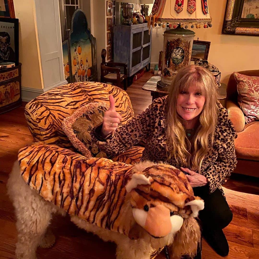 クリスティ・ブリンクリーさんのインスタグラム写真 - (クリスティ・ブリンクリーInstagram)「I’de be LION if I didn’t say Halloween was a Howl!  But now it’s time to  #VOTE go get ‘em Tiger! 💙💙💙」11月3日 0時00分 - christiebrinkley