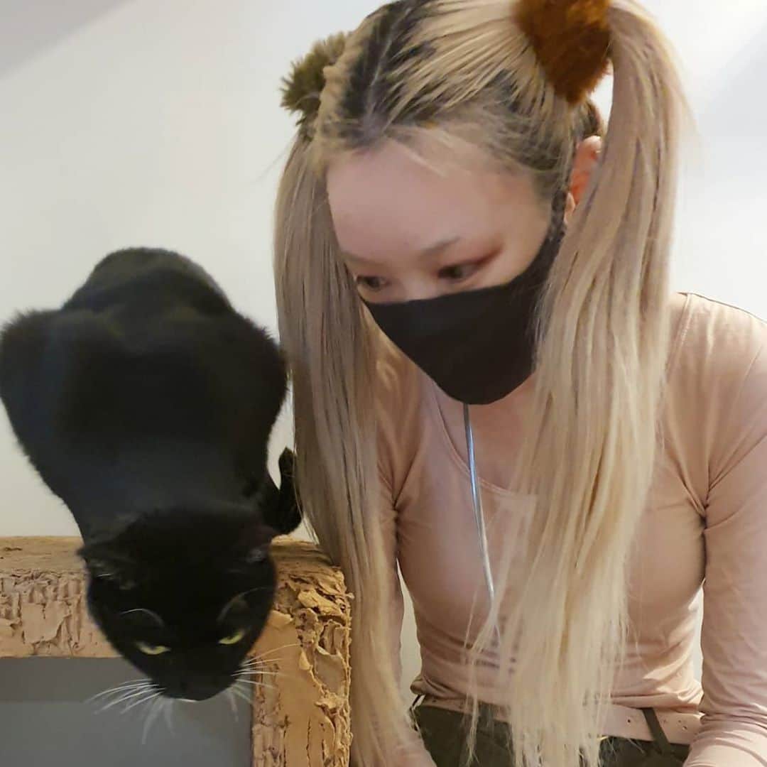 フェルナンダ・リーのインスタグラム：「Making friends 🤤」