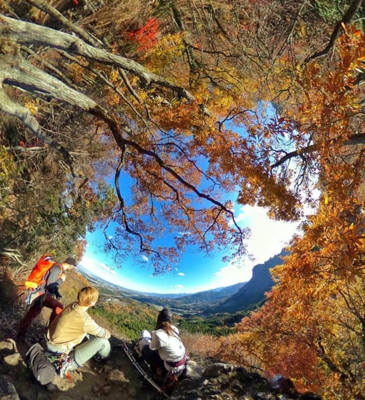 Official RICOH THETAさんのインスタグラム写真 - (Official RICOH THETAInstagram)「Fall's colorful foliage looks better in 360º. 🍂 Comment below what you love most about this season ⏬ and don't forget to tag us in your fall favorite photos.  📷: @suzuwanders  . . . . . #ricohusa #ricoh #ricohimaging #theta360 #lifein360 #360camera #360view #camera #cameratips #cameralover #photographylovers #photographer #autumn #autumnphotography #fall #fallphotography #familyphotography #fallphotoshoot #fallphotos #fallfoliage #fallvibes #naturephotography #naturephoto #nature #parkphotography #family #fallcolors」11月3日 0時20分 - theta360official