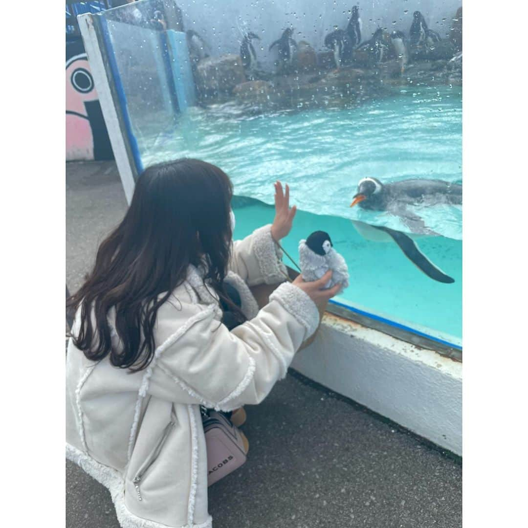 石川翔鈴さんのインスタグラム写真 - (石川翔鈴Instagram)「. 水族館大好き」11月2日 15時31分 - karen__i328