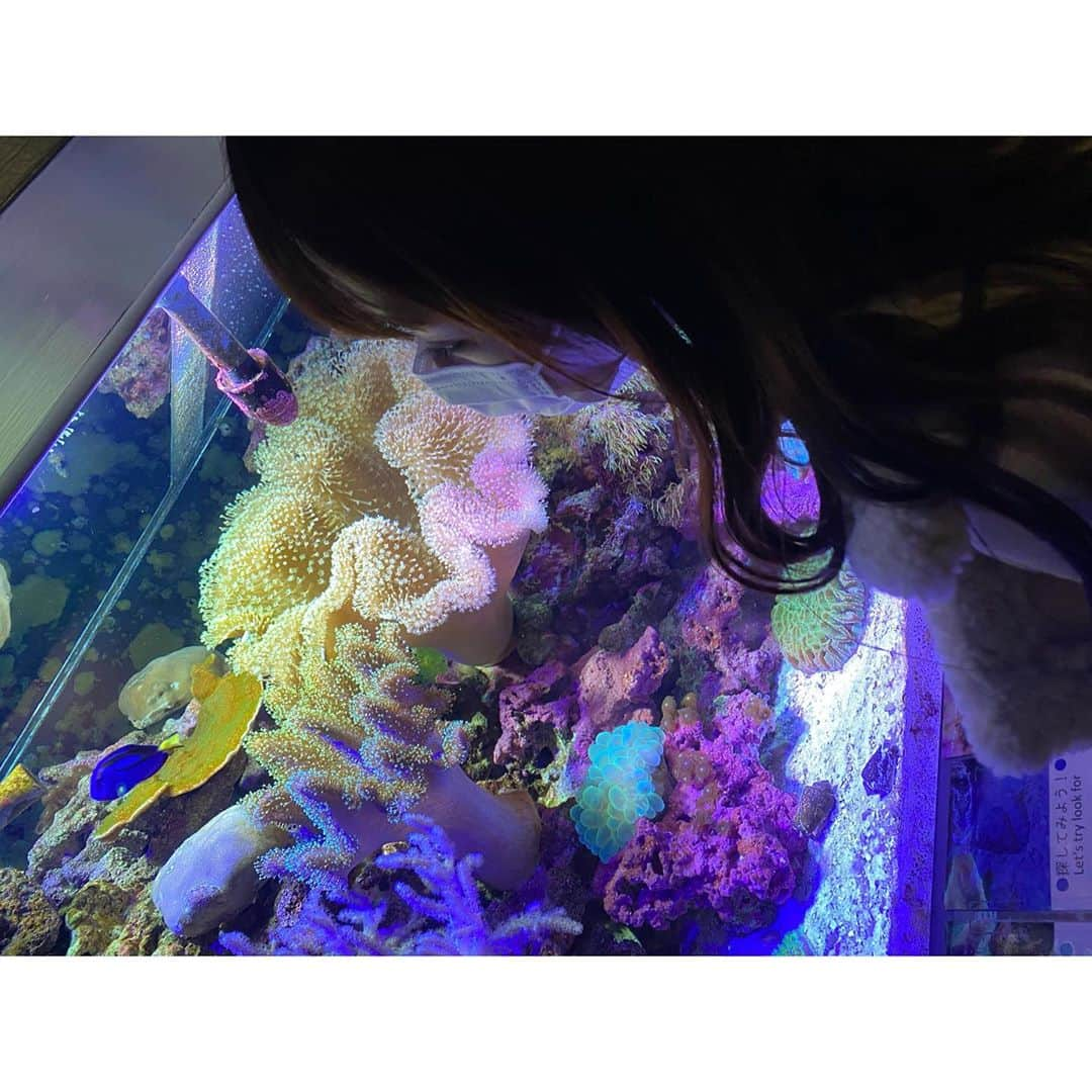 石川翔鈴さんのインスタグラム写真 - (石川翔鈴Instagram)「. 水族館大好き」11月2日 15時31分 - karen__i328