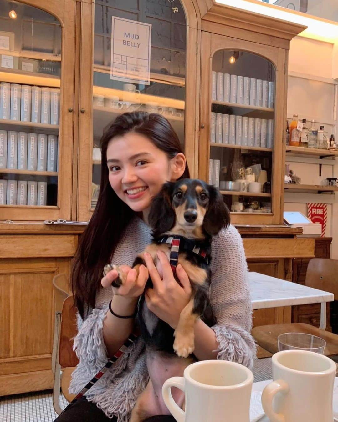 高原愛さんのインスタグラム写真 - (高原愛Instagram)「モモ🐶と友達と一緒にランチ😌❤️ 美味しいものの匂いにつられて、隙あらば食べ物を狙ってるモモ🐶😎✨✨ もうすぐ2歳で少しずつ大人になってきてます🤗  #lunch#salad#dog#dogstagram#tokyo#japan#cafe#cafestagram#café#cafelatte#doglover#doglife#doglovers#doglife🐾#犬のいる暮らし#犬のいる生活#犬とカフェ#ランチ#サラダランチ#カフェ#カフェ巡り#カフェスタグラム#短足部#短足部ダックス#ダックス#ミニチュアダックス#ブラックタン#🐶#❤️」11月2日 15時46分 - ai_takahara_ai