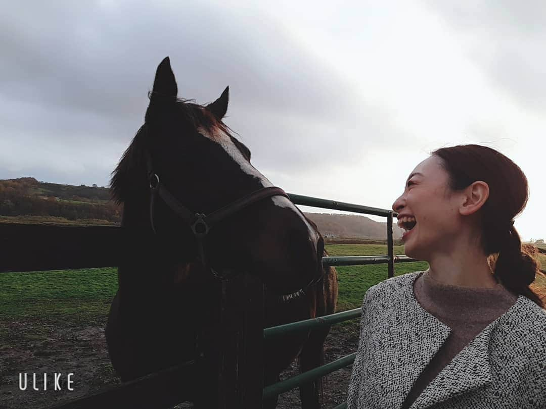 瞳ゆゆさんのインスタグラム写真 - (瞳ゆゆInstagram)「①チラッ(/ω･＼) ②ジーーーッ👀  ちょっとだけ観光🐴  #馬 #お馬さん #horse #北海道」11月2日 16時46分 - yuyu_hitomi