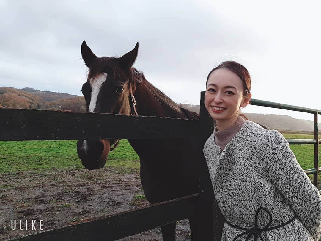 瞳ゆゆのインスタグラム：「①チラッ(/ω･＼) ②ジーーーッ👀  ちょっとだけ観光🐴  #馬 #お馬さん #horse #北海道」