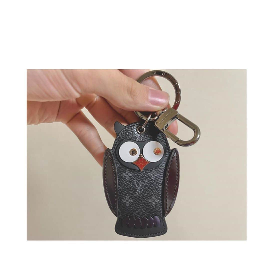 ベンドラメ礼生のインスタグラム：「2020.11.02  _🦉🦉🦉_」