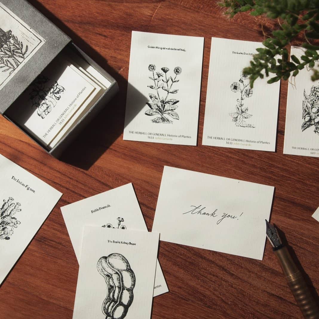 TOOLS to LIVEBY / 禮拜文房具のインスタグラム：「. PAPYRUS 草本植物明信片  遠方捎來的手寫明信片，相較於電子賀卡，更能令人感受到溫暖的心意與祝福。木刻版畫手工印製的PAPYRUS 草本植物明信片，經典重現 17 世紀最受歡迎的植物學書《草本植物與植物史》，生動且富有生命力。 .」