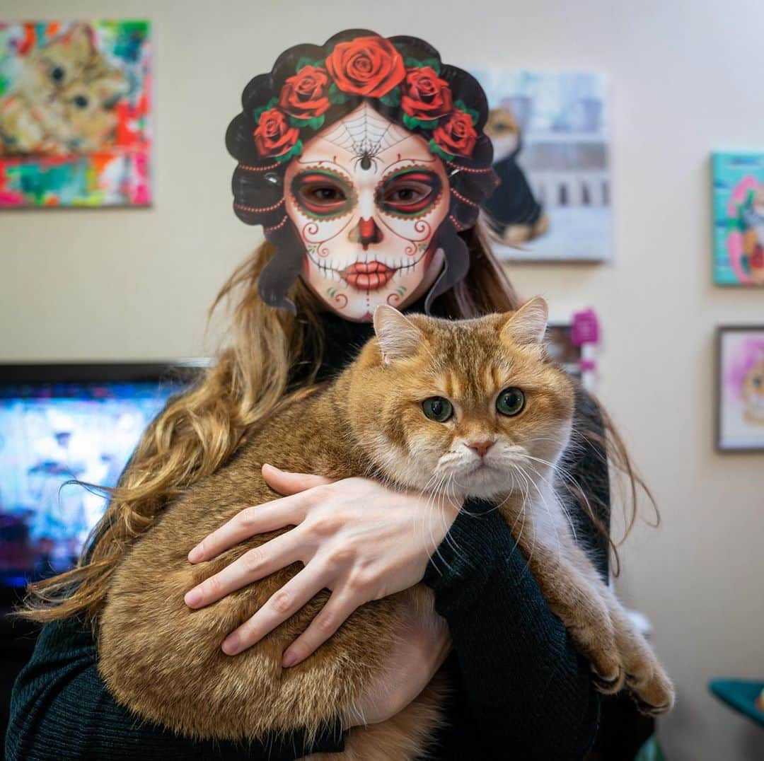 Hosicoさんのインスタグラム写真 - (HosicoInstagram)「¡Feliz día de Los Muertos! 💀🥀 #diadelosmuertos」11月2日 17時31分 - hosico_cat