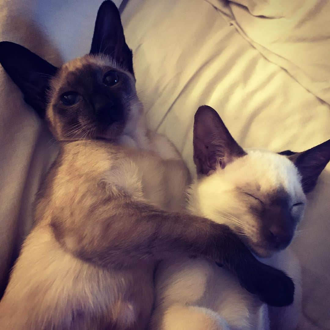 ジェイドジャガーのインスタグラム：「Monday , let’s not get out of bed darling」