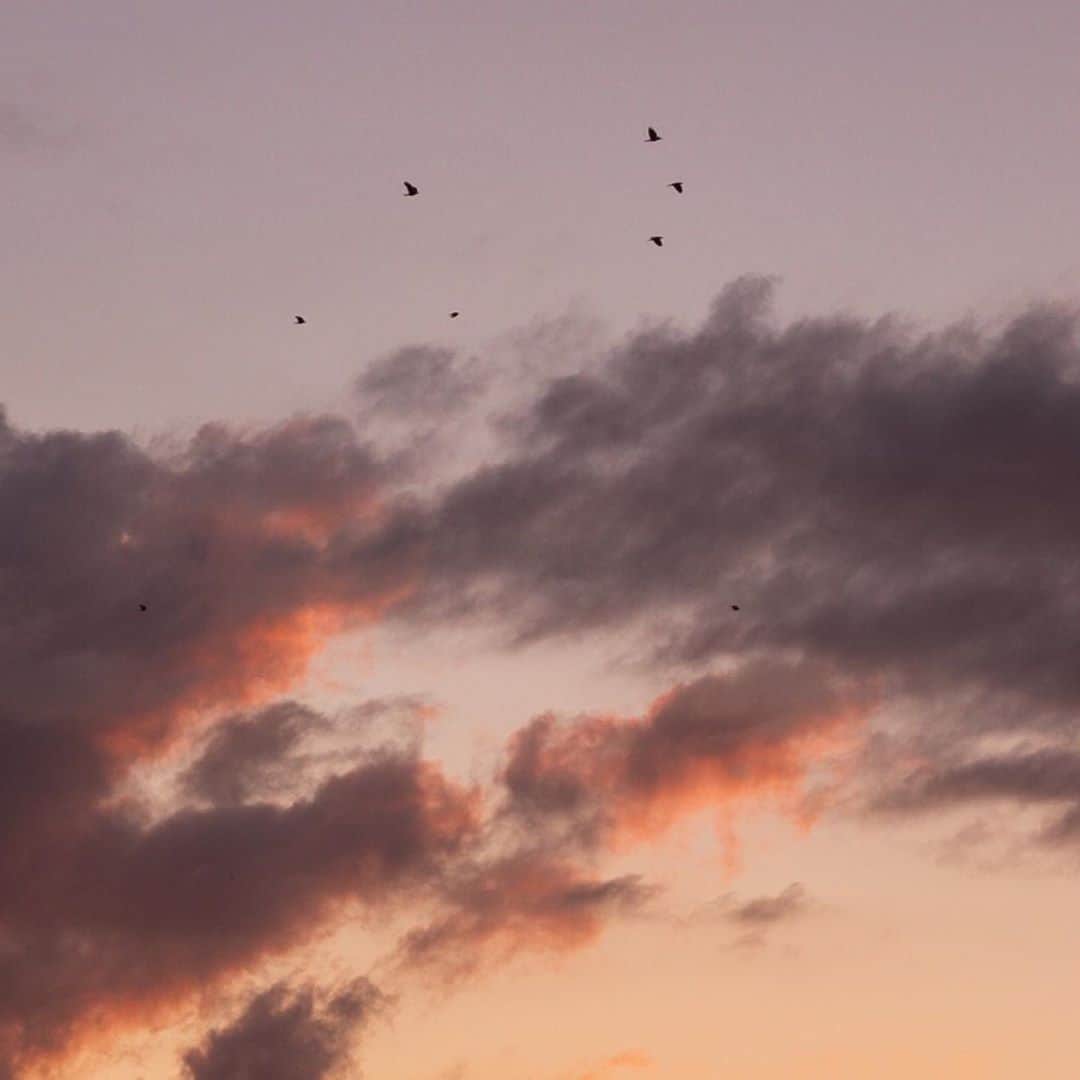 のインスタグラム：「Everything is changing, so many things are uncertain, especially at the moment. But the beauty of little things, like a colorful sky, will never change. We just need to keep on seeing them.  . . .  #earlymornings #inspo #mood #stayhome #weareinthistogether」