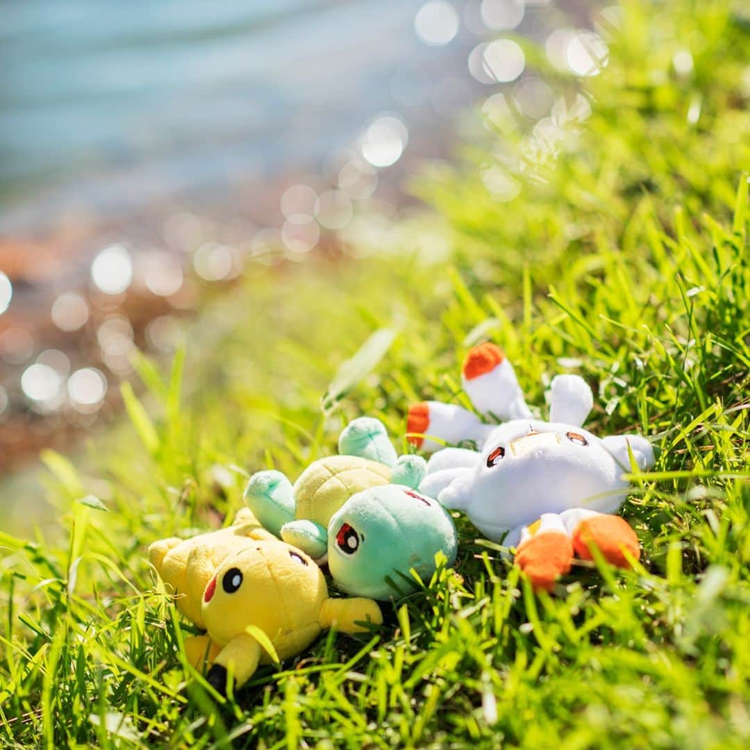 ピカチュウ公式Instagramさんのインスタグラム写真 - (ピカチュウ公式InstagramInstagram)「【今日のピカチュウ】 芝生の上でひとやすみ…😌💤 秋の風が気持ちいいね🎑 #pikachu #squirtle #scorbunny #pokemon #pikachu_snap #photooftheday #grass #zzz #nap #ピカチュウ #ゼニガメ #ヒバニー #ポケモン #芝生 #ひとやすみ」11月2日 18時00分 - pokemon_jpn