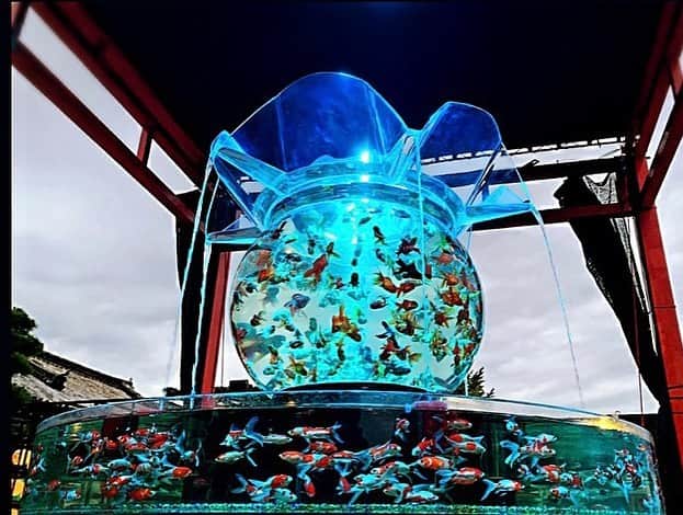若月雅さんのインスタグラム写真 - (若月雅Instagram)「【アートアクアリウム・京都〜金魚の舞〜】 . . 大好きな金魚たち❤️ 2年前の名古屋開催も行ったんだけど、やっぱり和が好きだなー(●´ω｀●) ほんと綺麗だった👏  ラストはママと写メ❣️ . #アートアクアリウム #京都　#金魚 #二条城アートアクアリウム  #kyoto」11月2日 18時11分 - miyabi.w_0911