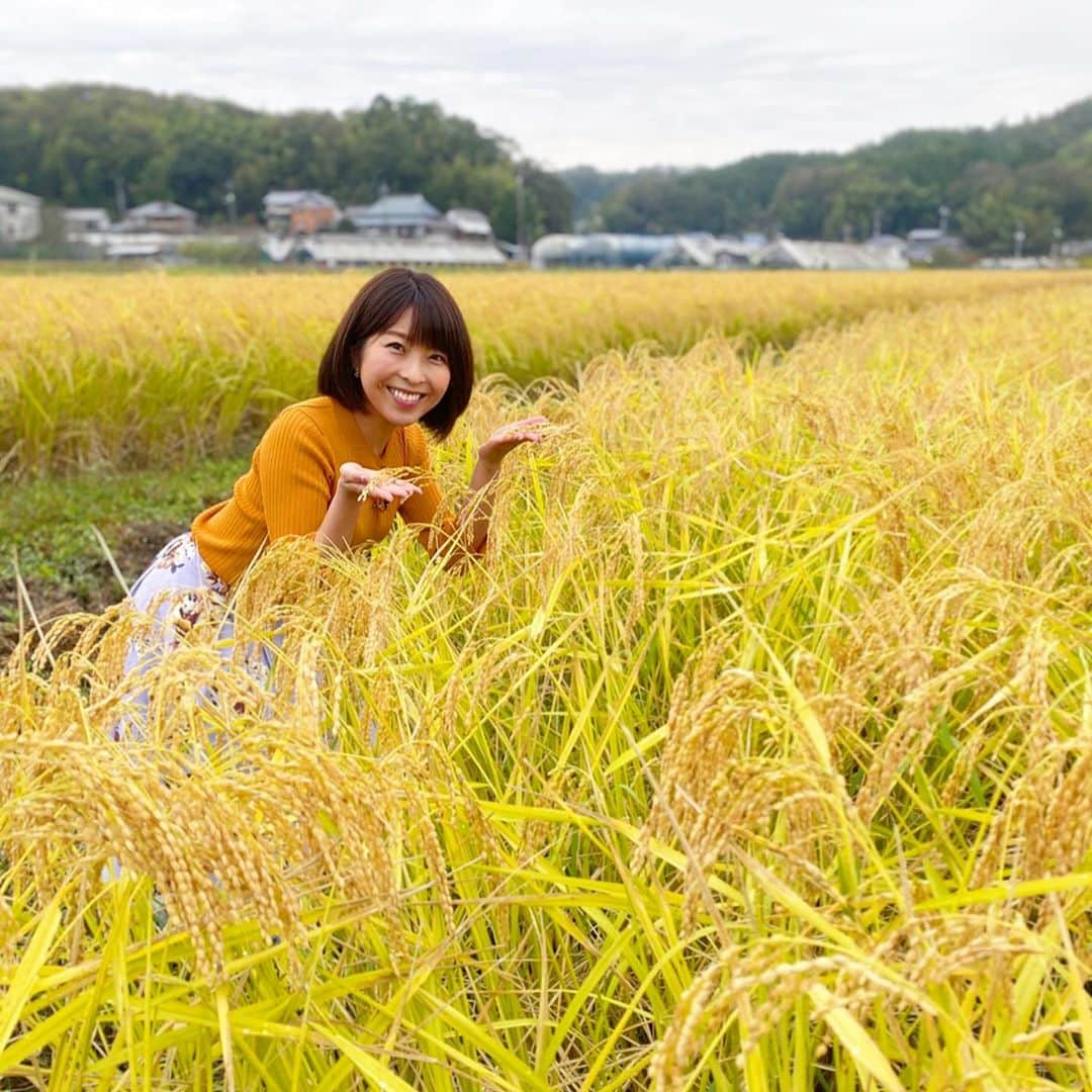 小尾渚沙のインスタグラム