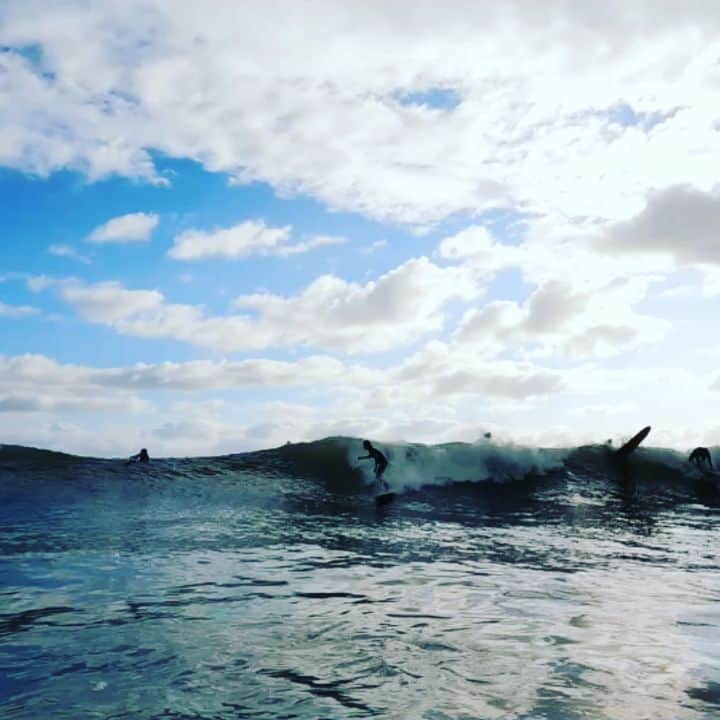 信國太志のインスタグラム：「@jimoshi 撮　 @oneworld_surfshop @dovewetsuits_factory」