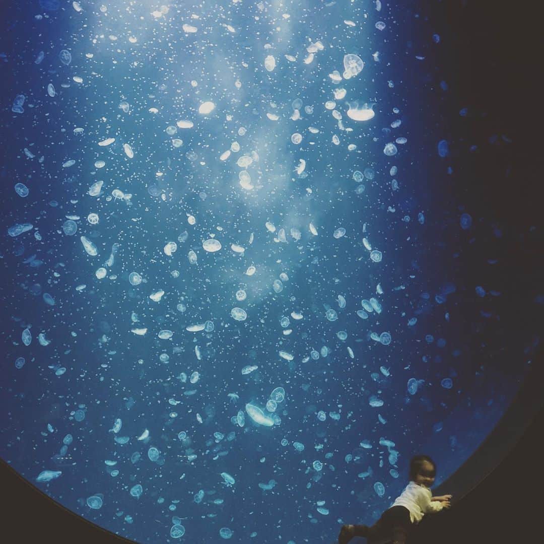 KIKIのグルメインスタ