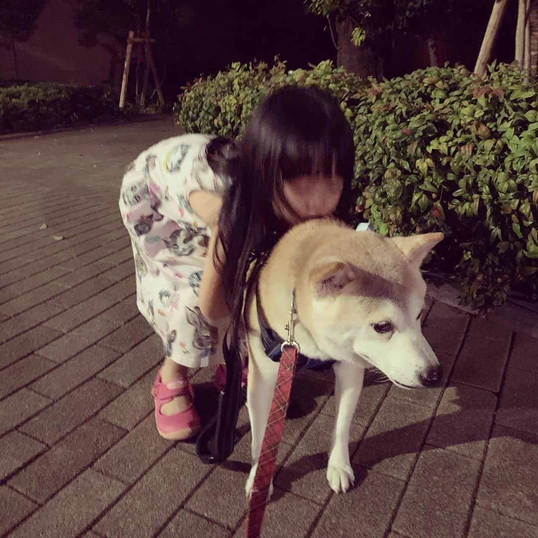 菊地由美さんのインスタグラム写真 - (菊地由美Instagram)「*5歳まであと3️⃣日👀* 少し前の めー散歩👧🏻🐕 好きすぎて(お散歩も) ずっといたいひと👧🏻 と お散歩大好きだけど すぐに帰りたくなるひと🐕 . #バランスがね… #3枚目ハグしてチューしてブレッ #はちとめーちゃん #GoodboyHachi #元保護犬 #rescueddog #めーちゃん4歳 #yumiandmusume」11月3日 0時40分 - yumikikuchi