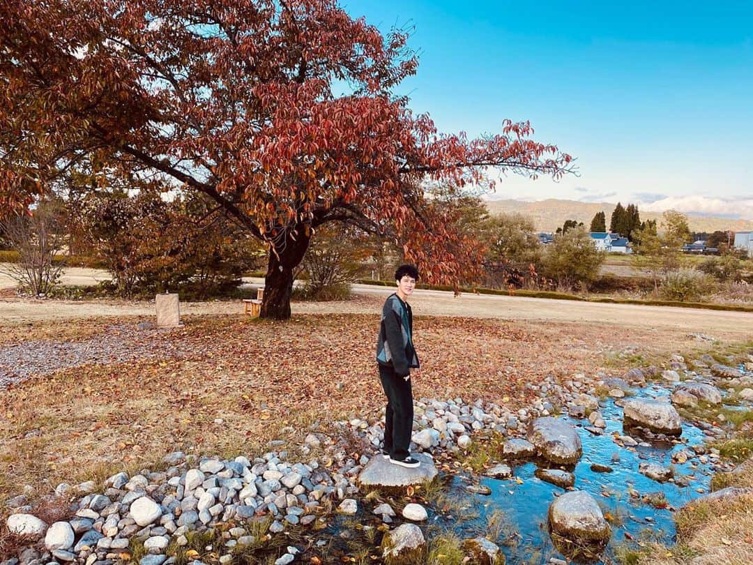 葉山奨之さんのインスタグラム写真 - (葉山奨之Instagram)「秋感じました。　色々吸収します。 Photo by @hirohitohonda1」11月2日 19時12分 - shonohayama