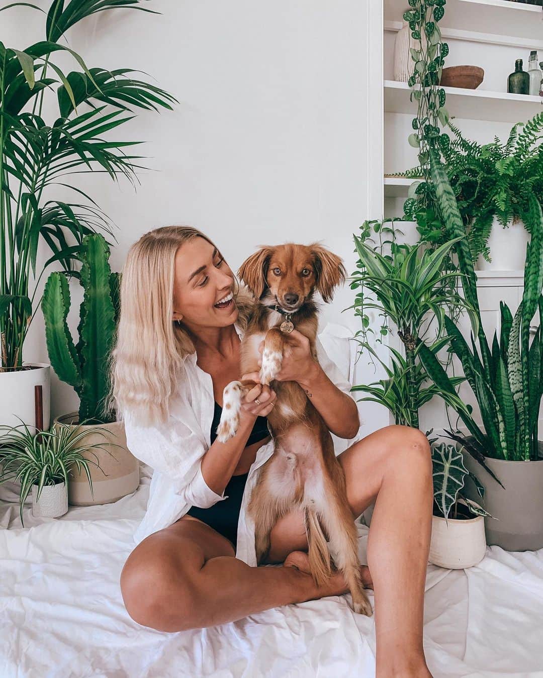 Zanna Van Dijkさんのインスタグラム写真 - (Zanna Van DijkInstagram)「Just me and my fluffy pal Bosco coming at you with my intentions for the month ahead ✨ As we head into what will inevitably be a challenging time, I wanted to set myself some intentions. Let me know yours in the comments 🥰 ➡️ Show up for you guys. Provide content which will support you through the coming weeks, whether that’s workouts to get you moving, coffee thoughts to get you thinking or just escapism in the form of a wholesome vlog. ➡️ Show up for myself. Take care of my body and mind. Exercise regularly, cook nourishing meals, get outdoors and mute accounts which don’t make me feel good. ➡️ Show up for those I love. Call my parents more and check in with my friends, especially the ones who are always smiling 🙏🏼❤️ Shirt: @staywildswim (my own brand) 🌊 #staywildswim #novemberintentions #lockdownintentions #fitnessblogger」11月2日 19時14分 - zannavandijk