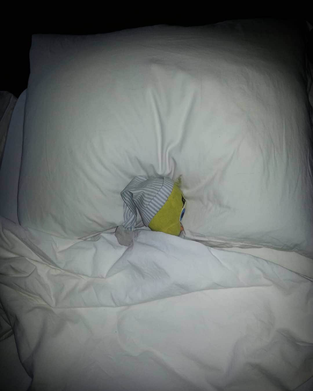 Little Yellow Birdさんのインスタグラム写真 - (Little Yellow BirdInstagram)「Migraine. On a Monday. Going back to bed... #littleyellowbird #tweety #tweetykweelapis #adventures #yellow #bird #monday #mondayssuck #mondayblues #startoftheweek #badstartoftheweek #migraine #backtobed #stuffedanimalsofinstagram #plushiesofinstagram」11月2日 19時15分 - tweetykweelapis