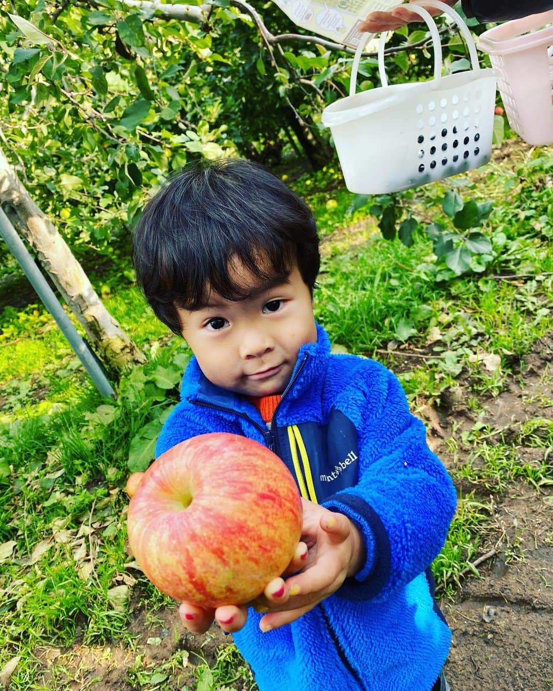 茜ゆりかのグルメインスタ