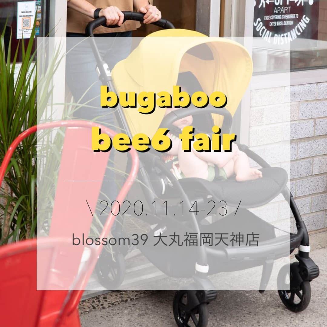 blossom39_officialのインスタグラム：「.  《blossom39大丸福岡天神店》にて bugaboo bee6フェアを開催いたします！  ▶︎期間：11月14日(土)〜23日(月・祝) 期間中、bee6をご購入いただいた先着3名様に オーガナイザーをプレゼント！  先日発売されたばかりのbugaboo bee6を 実際に店頭でお試しいただくことも可能です。  今回ノベルティのオーガナイザーはbee6のハンドルバーなどに取り付け可能な収納ポーチで、すぐに取り出したい荷物を入れておくことができます。  とても便利で人気の専用アクセサリーとなりますので、お得にゲットできるチャンスです！是非この機会に大丸福岡天神店にてお待ちしております！  ※ノベルティのカラーは先着順でお選びいただけます。 ※なくなり次第終了となります。  #blossom39 #ブロッサム39 #バガブービー6 #bugaboobee6 #bugaboo #バガブー #ベビーカー選び #インポートベビーカー #海外ベビーカー #コンパクトベビーカー #出産準備 #ベビーグッズ準備 #赤ちゃんのいる生活 #プレママ #令和ベビー」