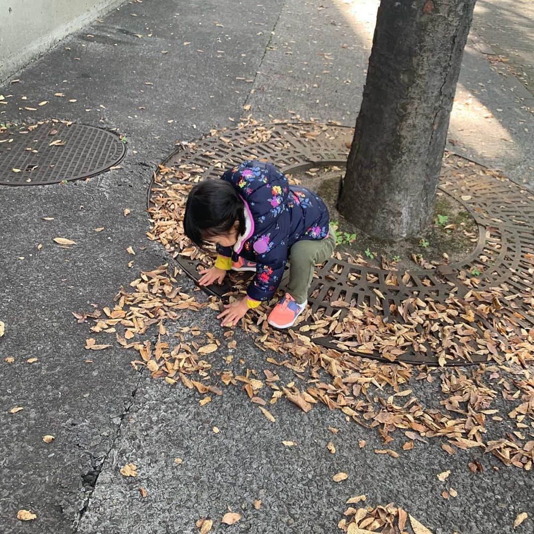 斎藤寛子のインスタグラム