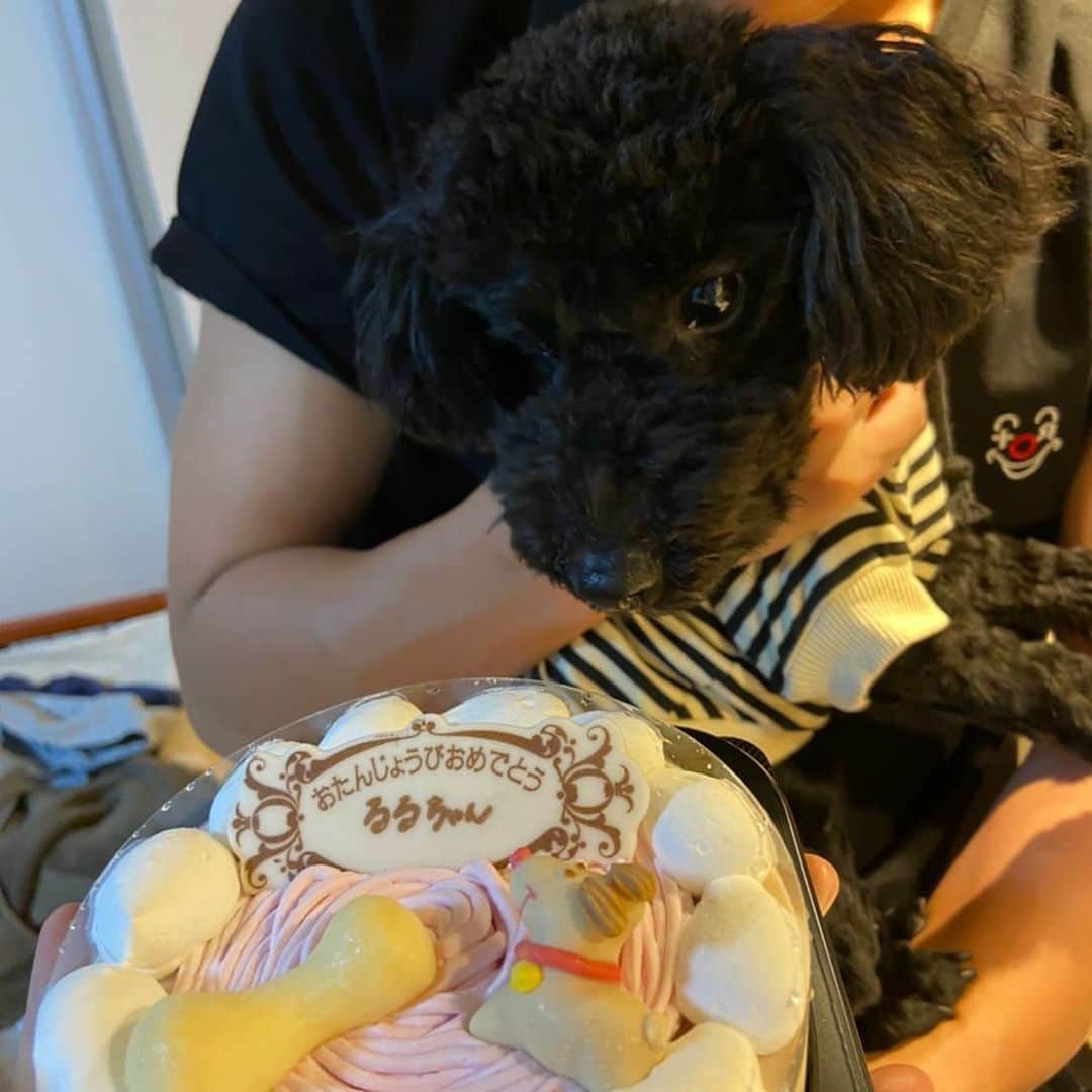 のインスタグラム：「我が家のアイドル一歳のお誕生日おめでとう😉❤️ これからも健康でいて欲しいと願うばかりです。  プレゼントも親バカすぎてたくさんあげたちゃいましたが、明後日の試合の勝利もプレゼントしちゃうか。」