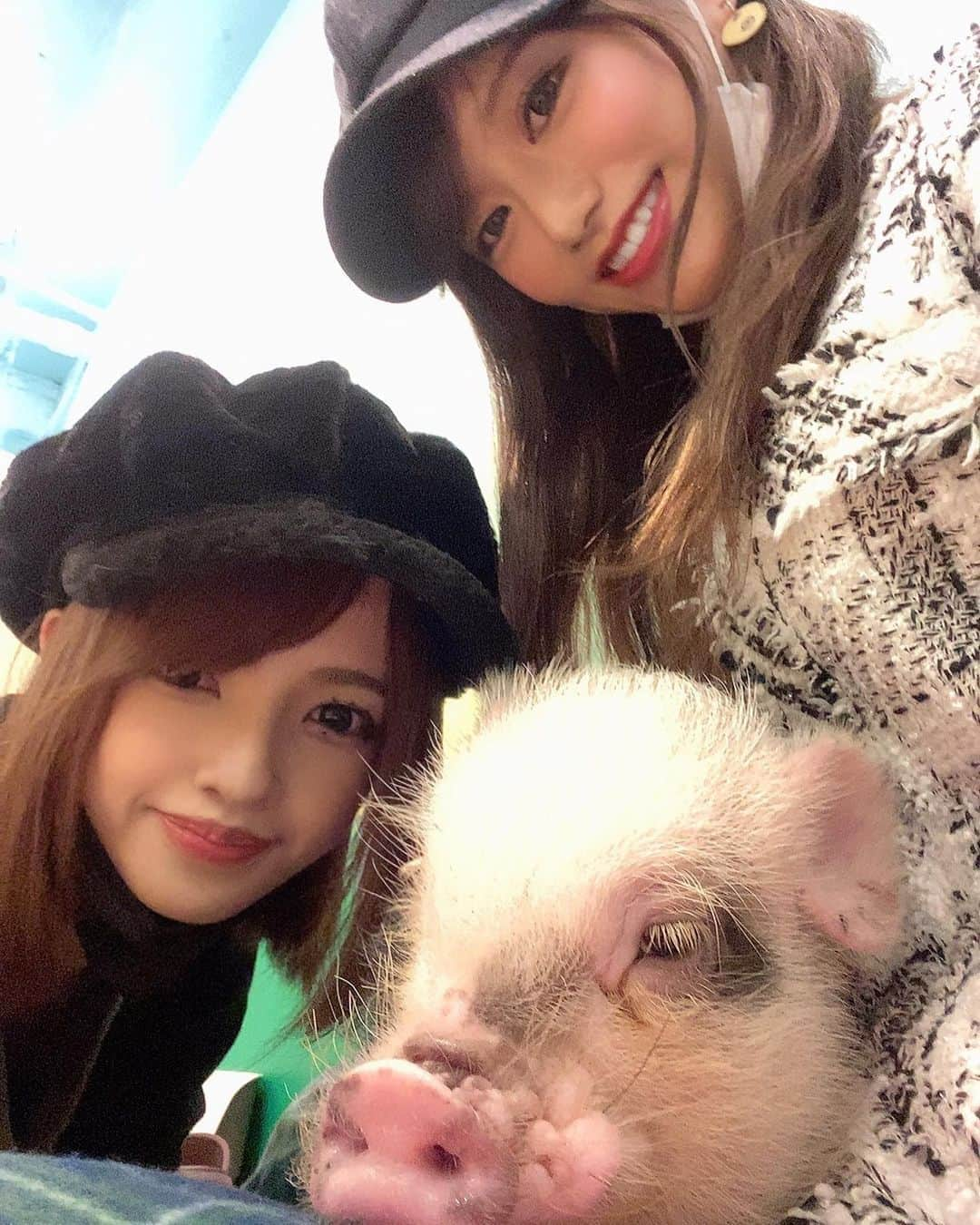 きいたんさんのインスタグラム写真 - (きいたんInstagram)「🐷🎀﻿ ﻿ ﻿ 海外旅立つ前に会ったきりの友達と ぶたちゃんカフェへ🧁🍹﻿  可愛すぎてやばかった😍﻿ 今度はゆっくり会いに行きたい🐷💕﻿ ﻿ ﻿ ﻿ ﻿」11月2日 20時29分 - k11_tan