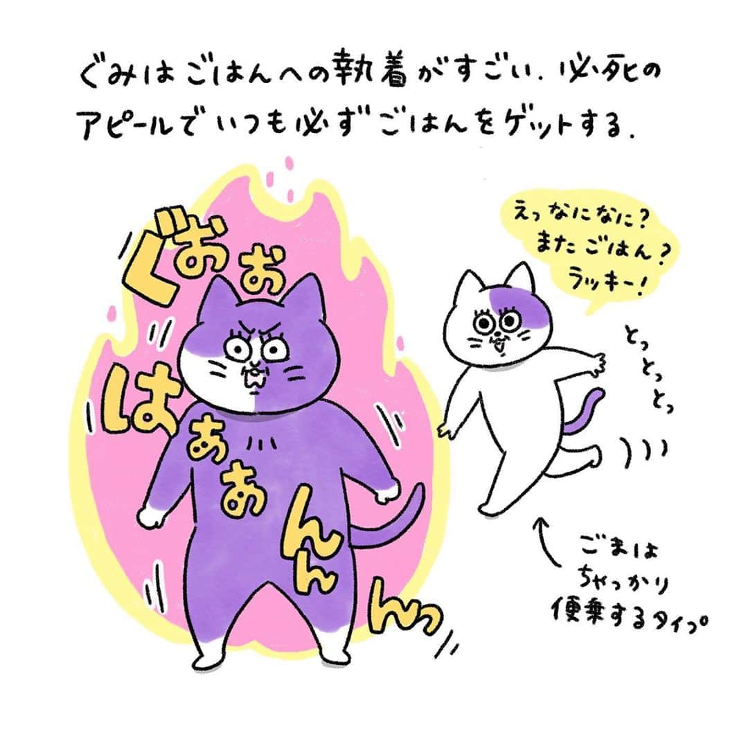 澤村 花菜のインスタグラム：「1日12回はさすがにつらすぎました。いつか1日2回になったらいいな…  #ぐみごまのまんが#まんが#イラスト#illustration#illustrator#drawing#painting#cat」