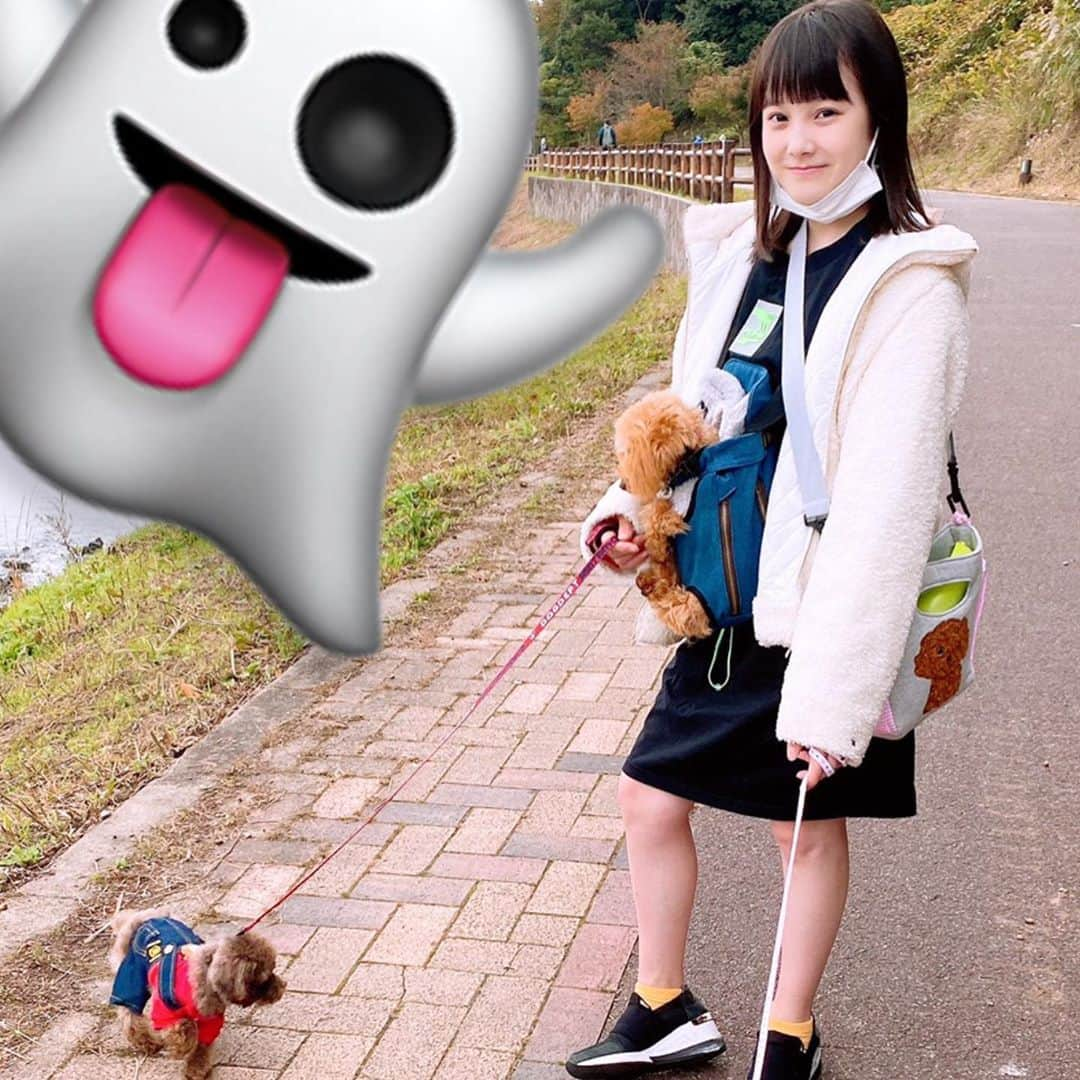 本田紗来さんのインスタグラム写真 - (本田紗来Instagram)「散歩がしやすくなる季節ですね🙈💗 可愛いハチ🐝さんルル🐶 ・ ・ 抱っこ紐にいるロロ🐶😻 ・ ・ お散歩大好きチョコ🐶🍫 ・ ・ ルルロロを気にしながら散歩を楽しむココ🐶 ・ ・ 途中疲れていきなり座っちゃうプリン🍮🐶 【イケメンだから良し】 ・ ・ ⚠️景色や変なところにルルくんの写真が被さっていますが 気にしないでください😂 ・ ・ ・ 散歩🐶をするとみんな違う個性や性格がわかるのですごく 楽しいしワクワクです✨✨」11月2日 20時45分 - sara_honda0404