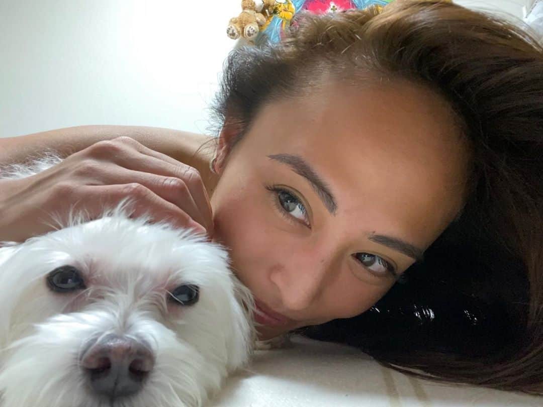 世礼奈のインスタグラム：「この子にお手とおかわりの躾を教えたの私なんだよ ◟̑◞̑ ☼  あと何年長生きしてこられるのかな ◟́◞̀  私とママが亡くなるまでずっと一緒に生きられたらいーな ✽  #LoveMyFamily #Charlotte #Maltese #躾 #身を美しくと書いて躾 #礼儀作法」