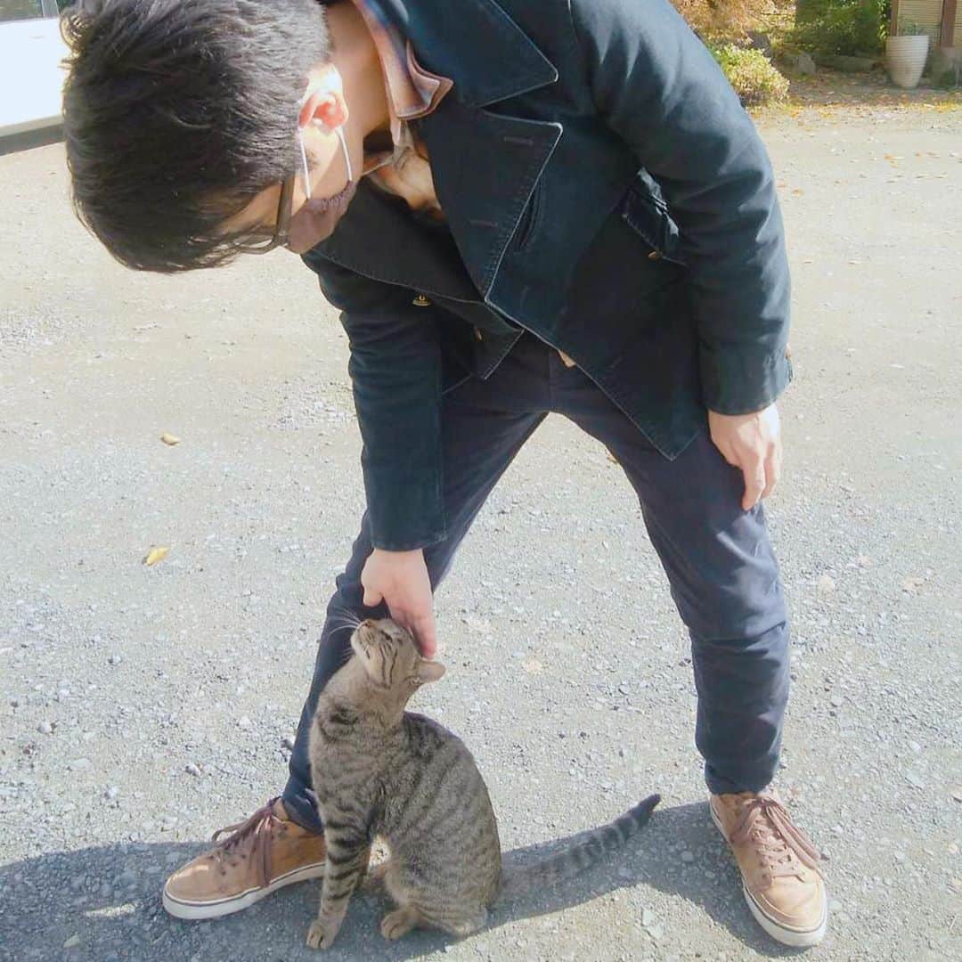 坂部友宏さんのインスタグラム写真 - (坂部友宏Instagram)「猫にスリスリされました🐱  #私は動物が好きです #でも #触れ合うのはそんなに得意じゃない #でも #懐かれたのでついナデナデ  #坂部友宏」11月2日 21時37分 - t_sakabe_bsn