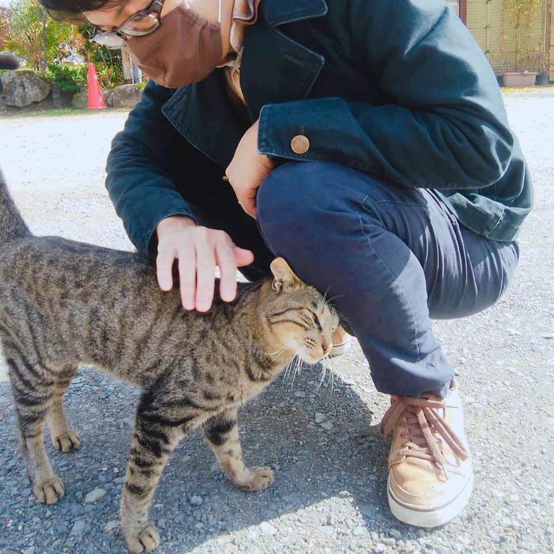 坂部友宏さんのインスタグラム写真 - (坂部友宏Instagram)「猫にスリスリされました🐱  #私は動物が好きです #でも #触れ合うのはそんなに得意じゃない #でも #懐かれたのでついナデナデ  #坂部友宏」11月2日 21時37分 - t_sakabe_bsn