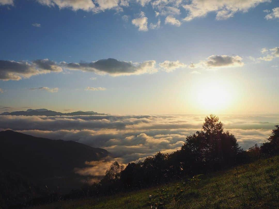 ASUKAさんのインスタグラム写真 - (ASUKAInstagram)「.﻿ 白馬で見た日の出と雲海✨﻿ ﻿ この時の動画はリールに上げてるから良かったら見てね🥺﻿ ﻿ 本当に綺麗だった✨✨﻿ 明日からまたがんばろっ🌱﻿ ﻿ ﻿ #雲海 #白馬 #白馬八方尾根#日本の絶景 #retrip_nippon #長野の車窓から #紅葉 #長野#olympus #オリンパス倶楽部 #日の出」11月2日 21時38分 - a.asuka.a