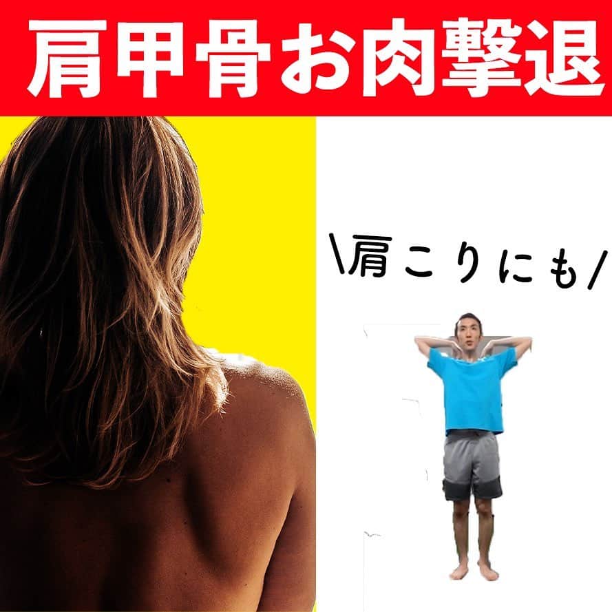 ととのえて、からだ。@渋谷発パーソナルトレーニングジムのインスタグラム：「ガッッチガチの肩甲骨、肩回りに✨  こんばんは、こんさんです✨  最近めっきり寒くなり、肩回りの硬さがより目立ってきている・・・という方も多いのではないでしょうか？  そこで今回は肩甲骨周りをすっきりさせていくエクササイズを紹介したいと思います🙌  どれもすごく簡単に出来てしまいますので、ぜひ最後まで一緒にやってみてくださいね！  肩甲骨周りすっきりさせるぞ~！という方は「いいね！」を押して知らせてくださいね✨  一緒にキレイの習慣化へ向けて、コツコツ積み上げていきましょ～！」