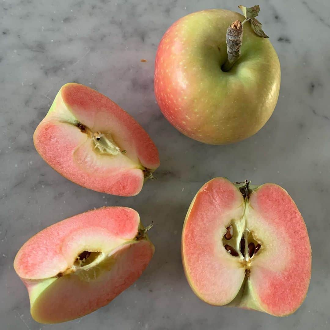 オランピアルタンのインスタグラム：「Pink apple @samascottorchards 🍎」