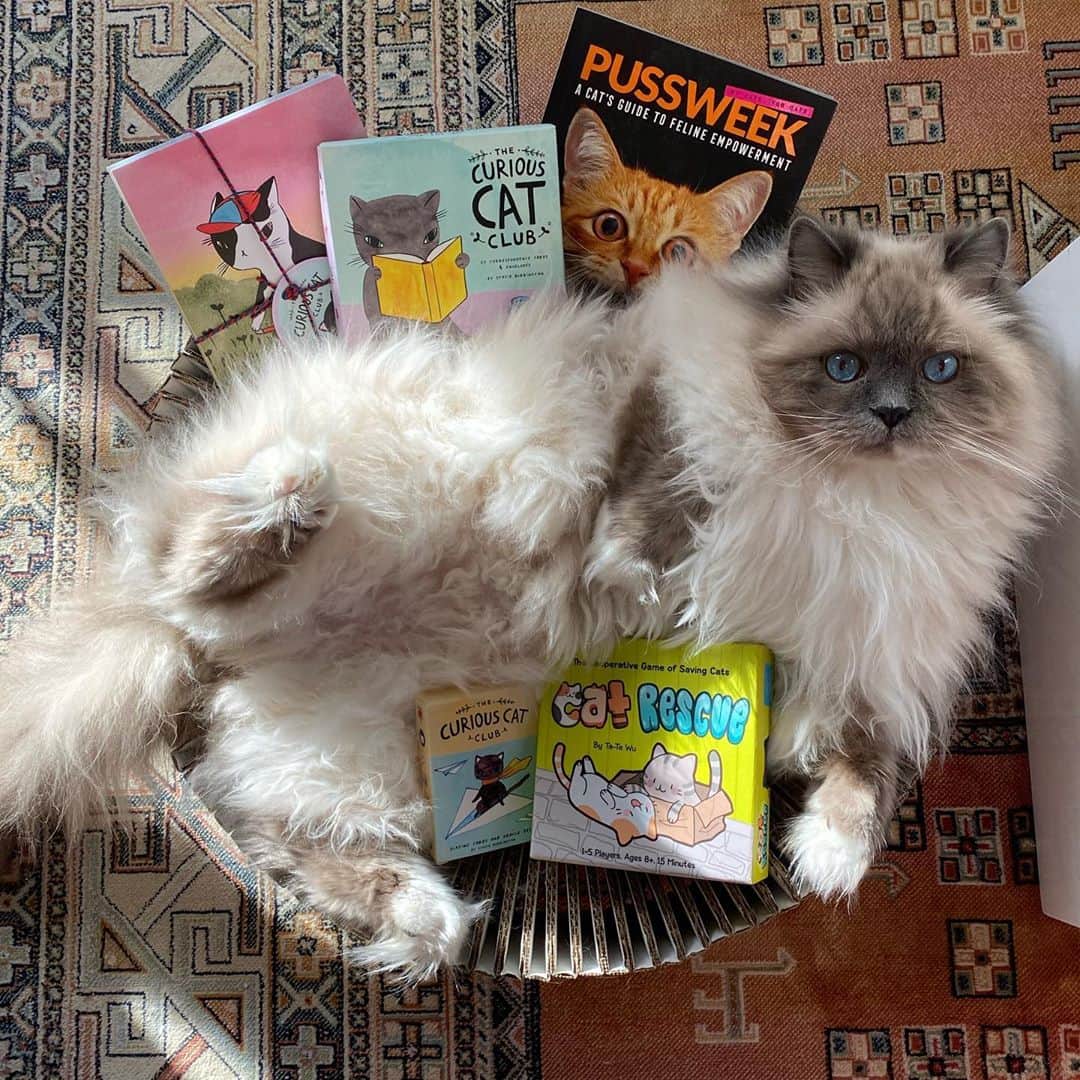 Tinaのインスタグラム：「George is showing off the fun cat filled package we received from @chroniclebooks 📚 Thank you! ♥️」