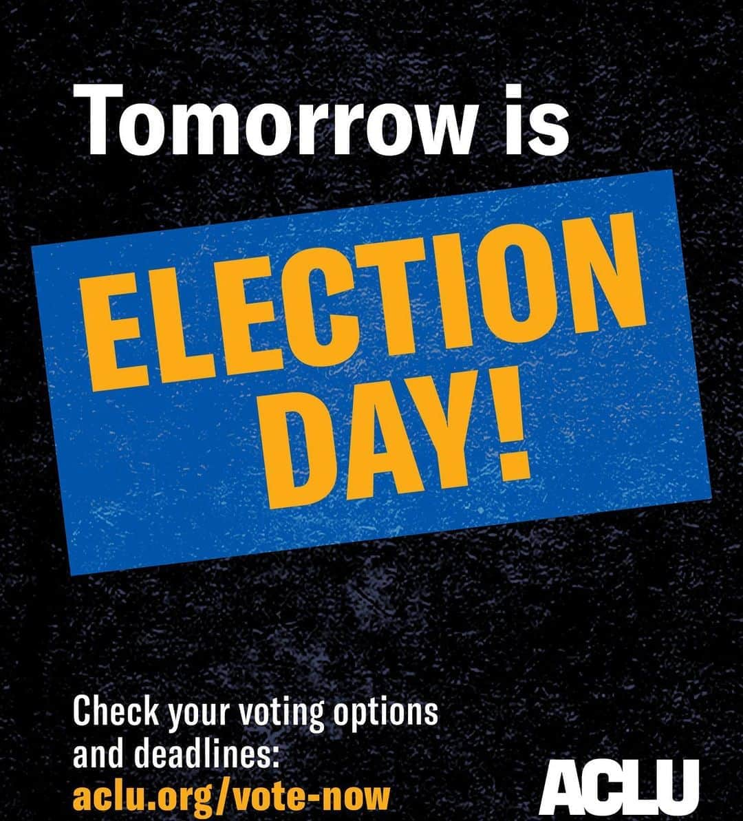 ケシャさんのインスタグラム写真 - (ケシャInstagram)「One day to go!! Make sure you’re prepared ahead of tomorrow animals! u can find info on voting in your state, including where, when, and how (link in bio) 🗳🗳🗳」11月3日 9時43分 - kesha