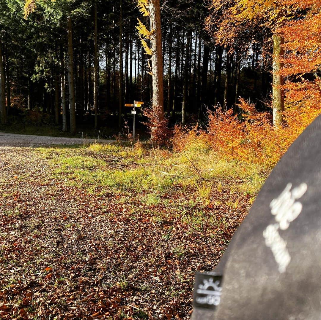 ミリアム・ツィーグラーさんのインスタグラム写真 - (ミリアム・ツィーグラーInstagram)「Herbstspatziergang bei 18Grad mit Mausi #herbst #spaziergang #hundeliebe #malteser #joiebaby #joiemytrax #joiesignature #likeforlikes #like4likes #lowa #daddysgirl #daddyslittlegirl #daddytime #zaubermaus #prinzzickchen #princess #zlinecreative #2kdrei10 #720dgree #windrad #sonne #laubfärbung #fall #fallcolors」11月3日 8時24分 - z_l1n3_c