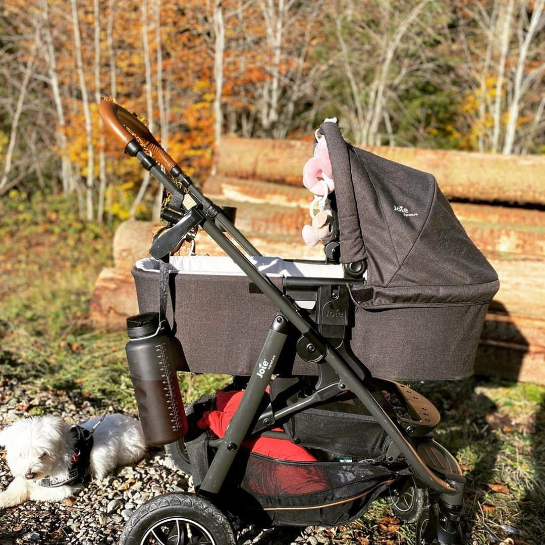 ミリアム・ツィーグラーさんのインスタグラム写真 - (ミリアム・ツィーグラーInstagram)「Herbstspatziergang bei 18Grad mit Mausi #herbst #spaziergang #hundeliebe #malteser #joiebaby #joiemytrax #joiesignature #likeforlikes #like4likes #lowa #daddysgirl #daddyslittlegirl #daddytime #zaubermaus #prinzzickchen #princess #zlinecreative #2kdrei10 #720dgree #windrad #sonne #laubfärbung #fall #fallcolors」11月3日 8時24分 - z_l1n3_c