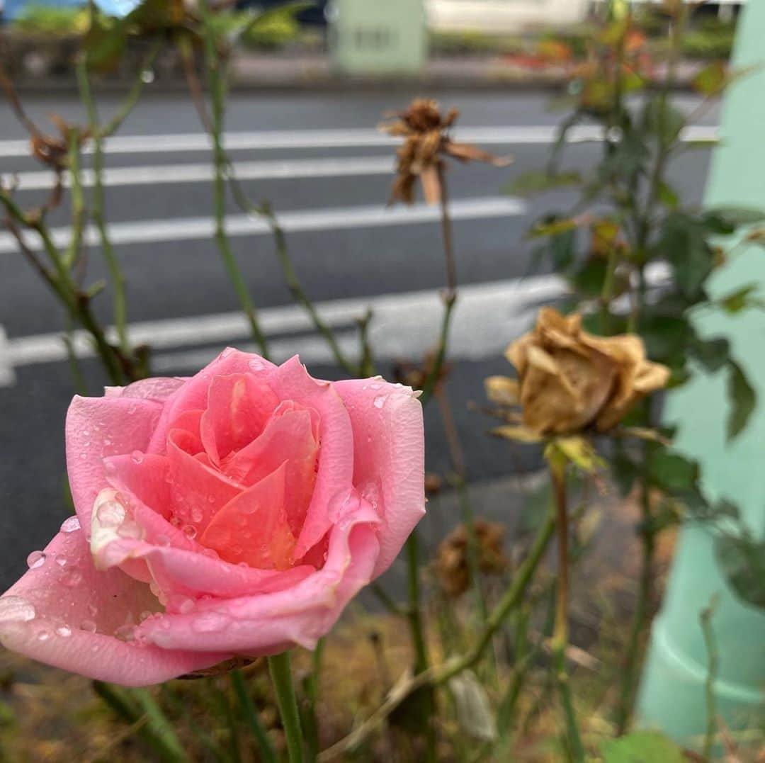 オマキ（コロナナモレモモ）さんのインスタグラム写真 - (オマキ（コロナナモレモモ）Instagram)11月3日 9時18分 - ___omkk.nn