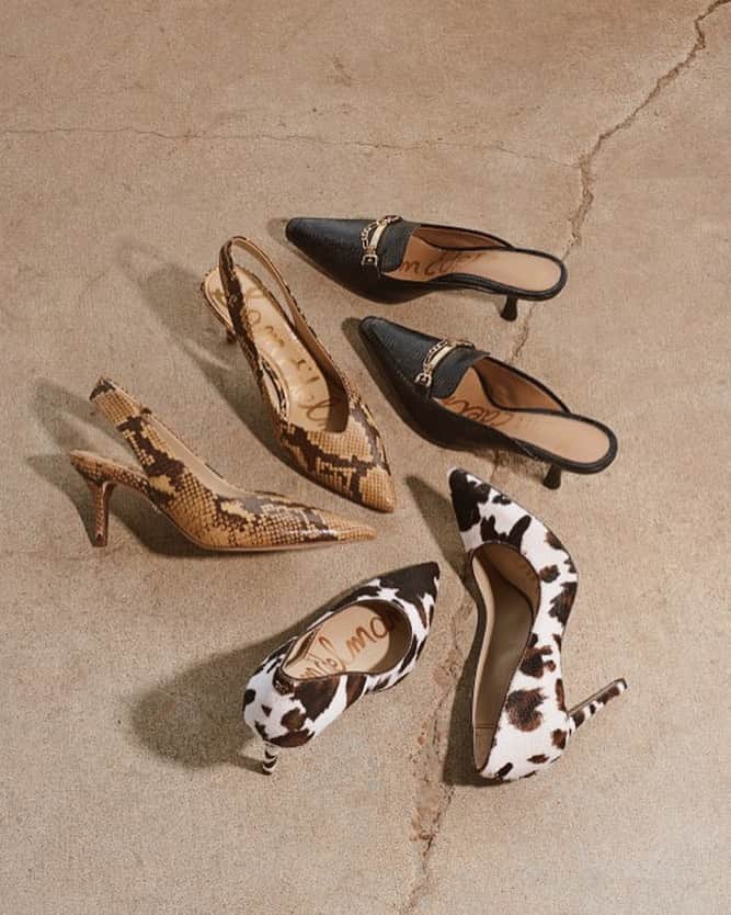 サムエデルマンのインスタグラム：「Pick your print: Cow, snake, or croc Tap to shop the HAZEL, JECKEL, and TENETTA  #SamEdelman #Fall2020」