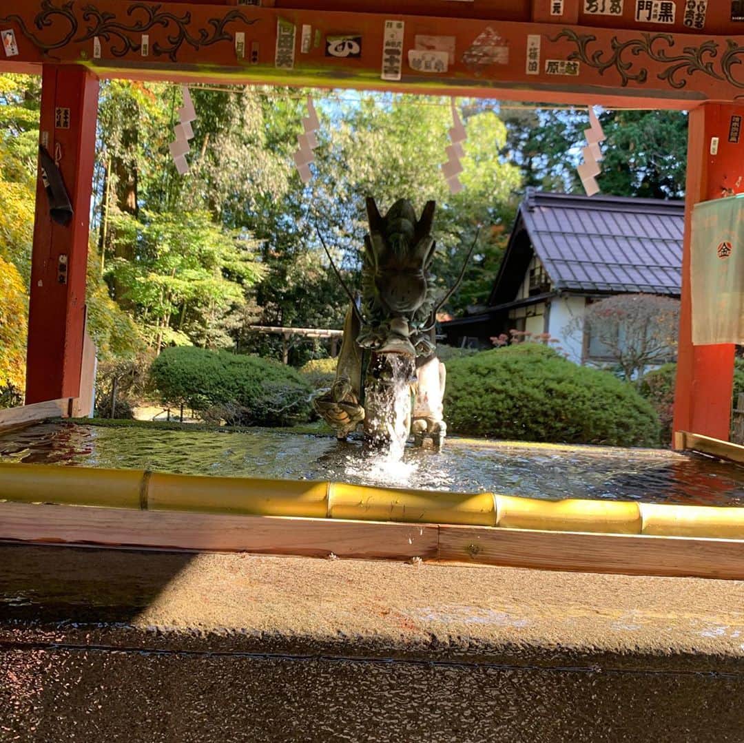 木本夕貴さんのインスタグラム写真 - (木本夕貴Instagram)「本殿のところは人がたくさんいらっしゃったので、撮ってないのですが💦  先日、 富士浅間神社⛩ に行ってきました✨  富士浅間神社のご由緒は⛩  いつの頃から神社があるのか、実は詳しく分かっていないんだそう。 ただ、1000年くらい前の平安時代、小高い丘の上に神をまつる建物を建てたのが始まりと考えられているそうです。  このころは 「従五位上郡御玉明神（じゅごいかみごおりみたまみょうじん」 という名前でした。  今から700年以上前の鎌倉時代、日蓮という偉いお坊さんが、 苦しむ人々を救おうと活躍していましたが、あるとき政治を悪く言った罰で、佐渡（新潟県の島）へ流されることになります。  しばらくして日蓮は許されました。 そして佐渡から帰る途中、藤岡市のあたりに立ち寄ったのです。 富士山の神を厚く信じていた日蓮は、この地にも祀りたいと考え、神の御霊を迎えました。 それ以来、この神社は 「富士浅間神社」と名前を改めることになったんだそうです！  ご祭神は⛩ 木花開耶姫命（コノハナサクヤヒメ）  名前には桜の花が咲いたように美しいという意味があります。 山の神を父に持ち、ご神体は富士山。 昔、本当の富士山は気軽にお参りできなかったので、富士山に見立てた丘の上に当神社が建てられました。 日本最古の歴史書『古事記』には、炎の中で生んだ子を無事に育てたという神話があり、子供の守り神さまとして知られいるそうです。 HP参照しました❣️  富士山がとっっっっても大きくみえて、参道がめっっっっちゃくちゃ綺麗なの❣️ 帰りには木から葉っぱ？が落ちてきて、それが光に当たってすごく綺麗で、参道がより一層、神聖なものに感じたよ⛩  お守りの種類も豊富なのがすごく魅力的でした✨✨✨ しかも、お値段もお手頃なものが多くて、あれもこれもと目移りしちゃうくらい💓  富士山の近くだからかな？空気も澄んでてめちゃくちゃ気持ちよかったです⛩✨  富士山の周りにはいくつか神社があるみたいなので、また行ってみたいなあ🥺✨」11月3日 9時41分 - yuuki___kimoto