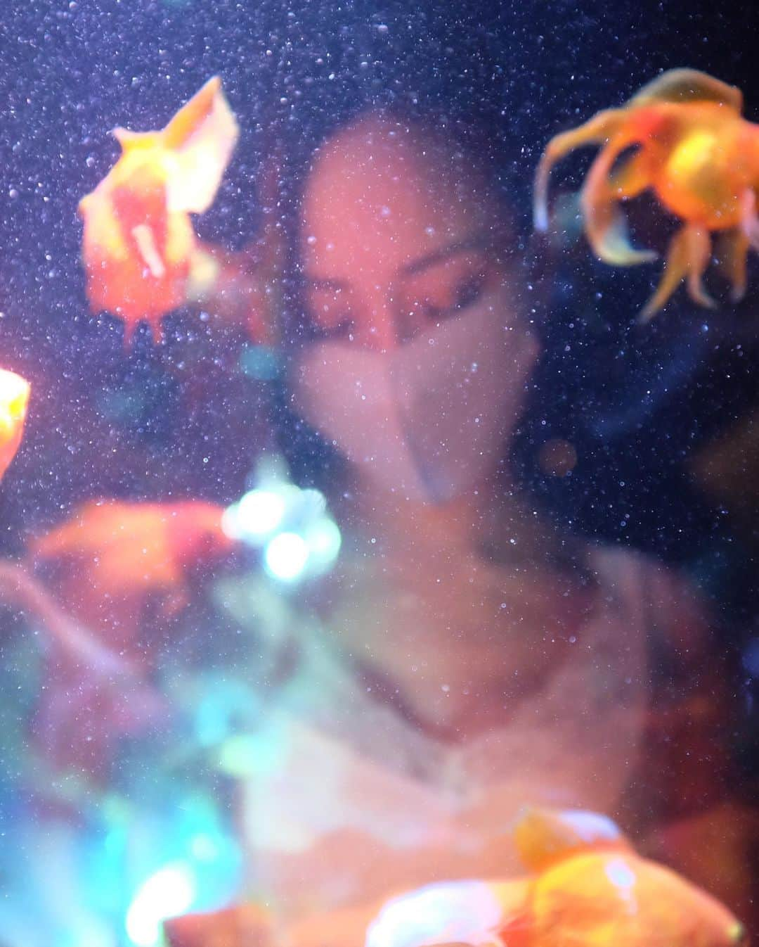 池田美佳さんのインスタグラム写真 - (池田美佳Instagram)「gold fish.  photo @takeatsu_photo  #photo #photograph #art #creative #goldfish #artaquarium #tokyo #japan」11月3日 9時39分 - mikaring72