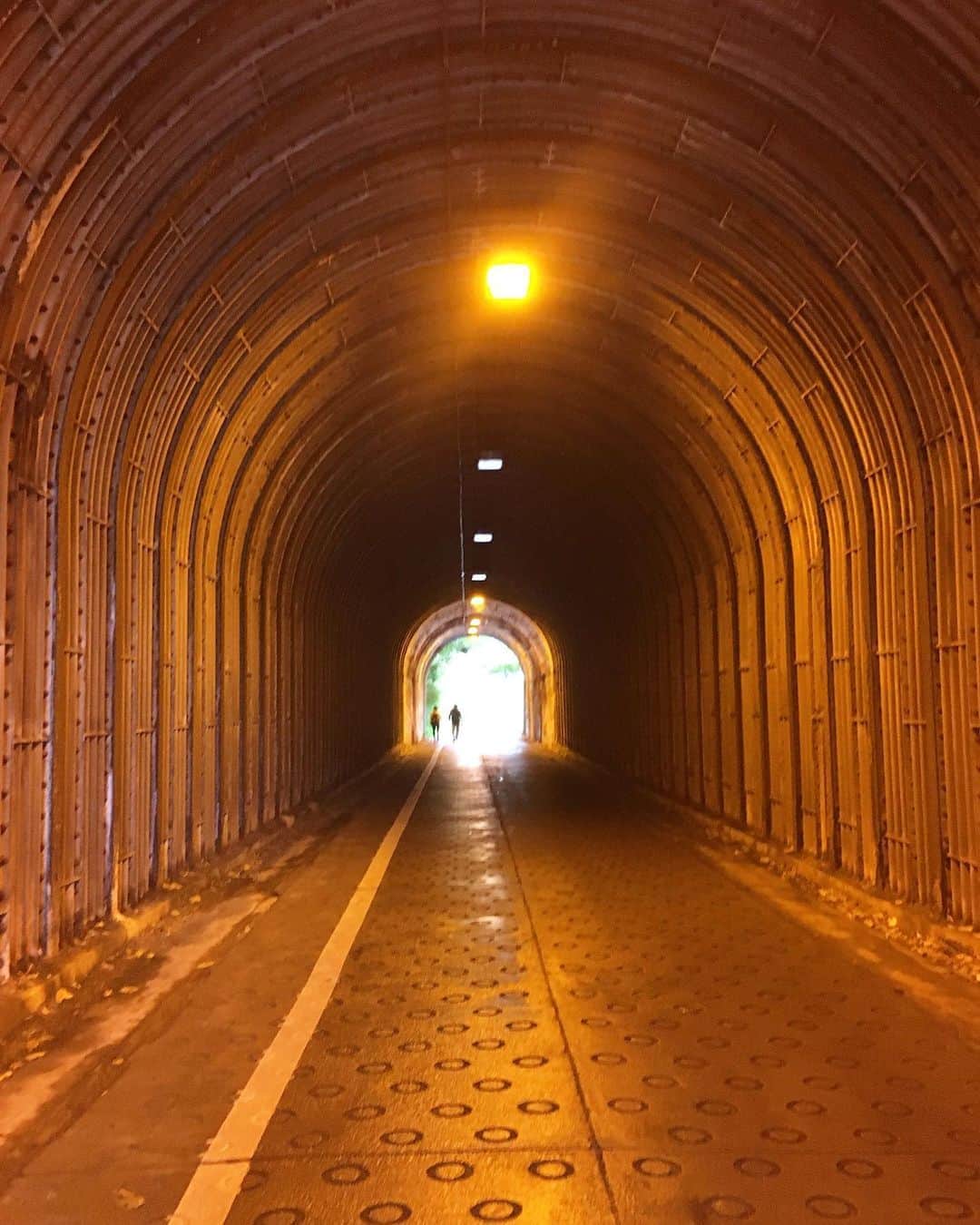 猫沢エミさんのインスタグラム写真 - (猫沢エミInstagram)「やっぱり、このトンネルの向こうにある光を信じて、私は進むのだな。」11月3日 0時43分 - necozawaemi