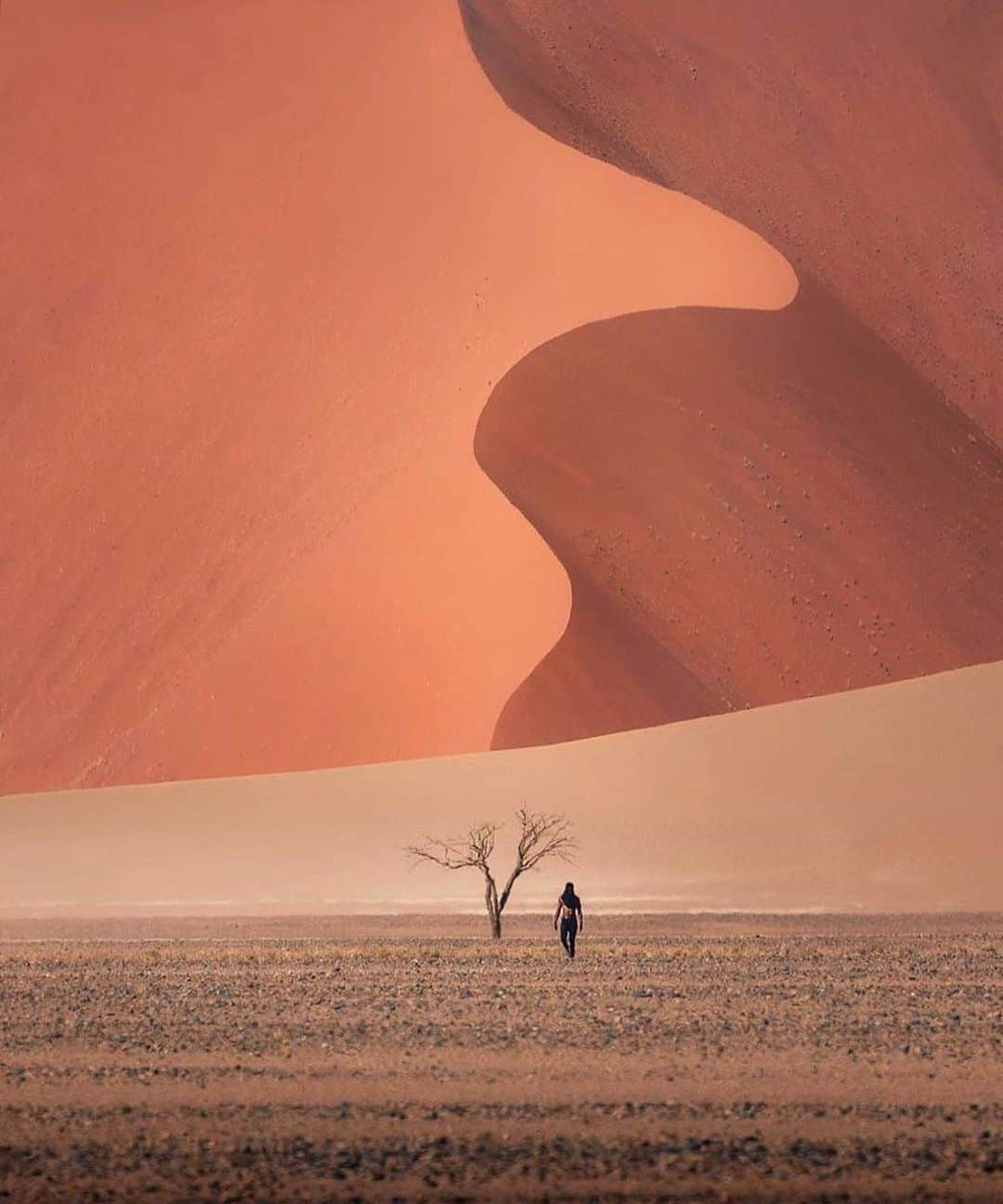 Canon Photographyさんのインスタグラム写真 - (Canon PhotographyInstagram)「Textures in Namibia  Photography // @karl_shakur  Curated by @henry.nathan  #dunes #desert #namibia #africa」11月3日 1時06分 - cpcollectives