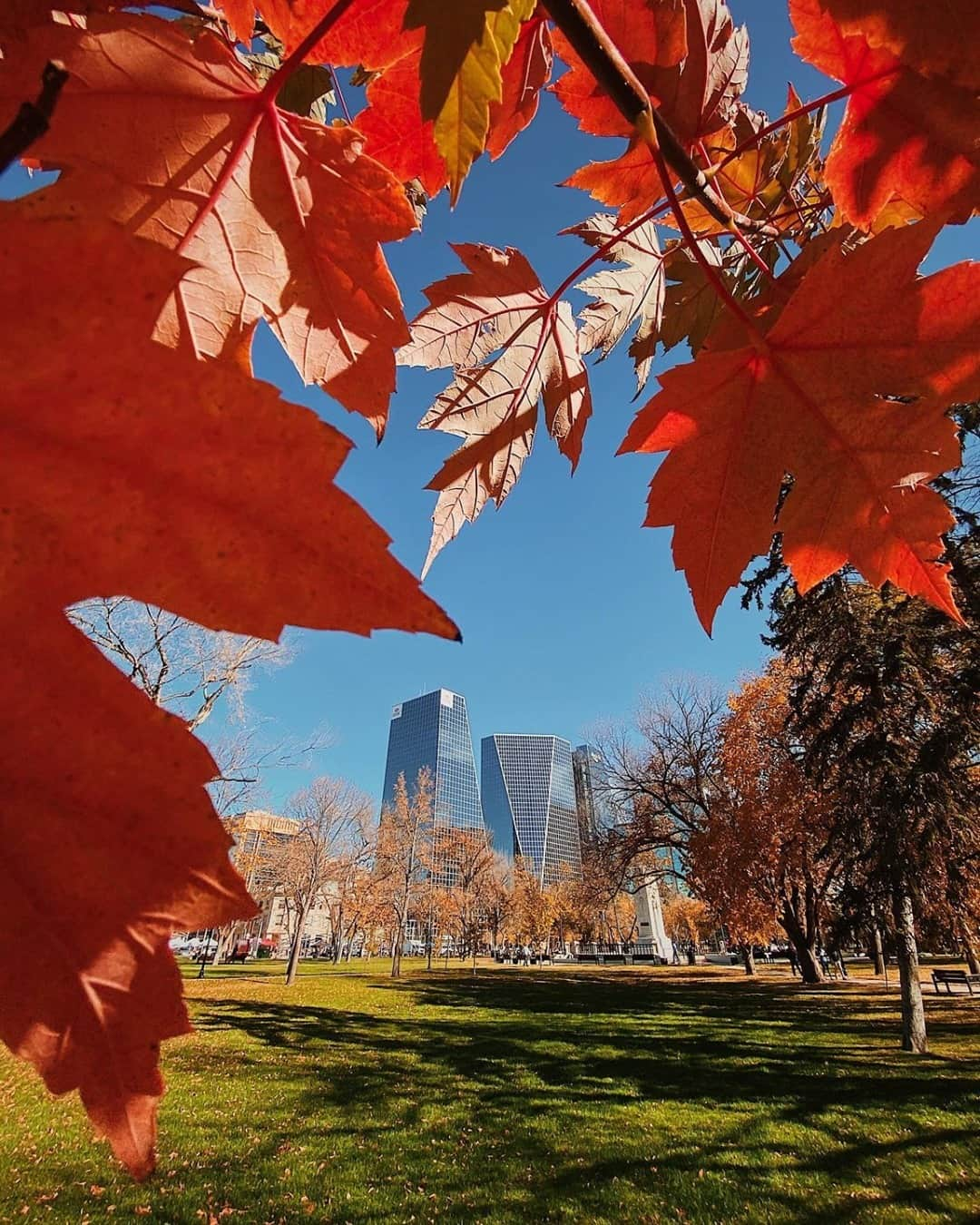 Explore Canadaさんのインスタグラム写真 - (Explore CanadaInstagram)「Beautiful views in Saskatchewan’s capital, Regina! 🍁 Where’s your favourite place in Canada to enjoy the beautiful autumn colours? #ExploreCanada⁠ ⁠ ⁠ *Know before you go! Check the most up-to-date travel restrictions and border closures before planning your trip and if you're travelling in Canada, download the COVID Alert app to your mobile device.*⁠ ⁠ 📷: @herry.with.an.e⁠ 📍: @tourismsask⁠ ⁠ #ExploreSask⁠」11月3日 1時02分 - explorecanada